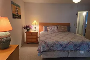2402 Ecuadorian Way, Clearwater, FL 33763 - Photo 20