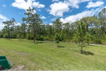 5042 Night Star Trail, Odessa, FL 33556 - Photo 56
