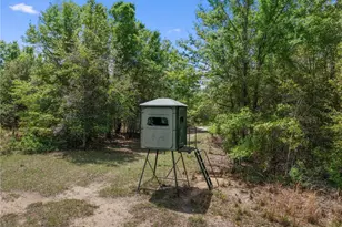 4639 SW Wilson Springs Rd, Fort White, FL 32038 - Photo 64