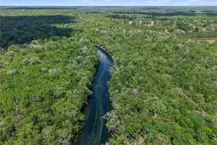 4639 SW Wilson Springs Rd, Fort White, FL 32038 - Photo 48
