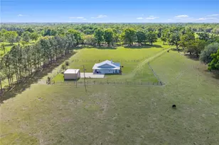 4639 SW Wilson Springs Rd, Fort White, FL 32038 - Photo 62