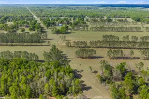 4639 SW Wilson Springs Rd, Fort White, FL 32038 - Photo 52