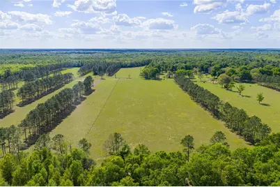 4639 SW Wilson Springs Road, Fort White, FL 32038 - Photo 52