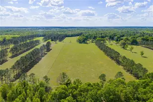 4639 SW Wilson Springs Rd, Fort White, FL 32038 - Photo 52