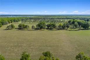 4639 SW Wilson Springs Rd, Fort White, FL 32038 - Photo 44