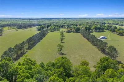 4639 SW Wilson Springs Road, Fort White, FL 32038 - Photo 56
