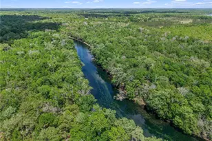 4639 SW Wilson Springs Rd, Fort White, FL 32038 - Photo 36