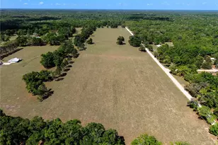 4639 SW Wilson Springs Rd, Fort White, FL 32038 - Photo 42