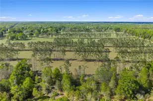 4639 SW Wilson Springs Rd, Fort White, FL 32038 - Photo 70