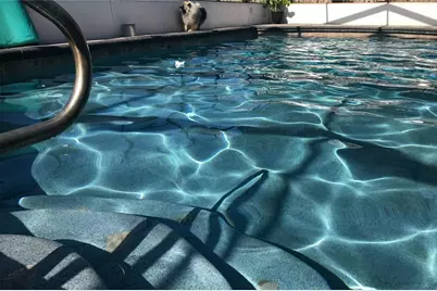 1497 Overland Drive, Spring Hill, FL 34608 - Photo 76