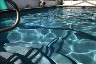 1497 Overland Dr, Spring Hill, FL 34608 - Photo 76