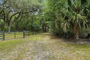 16650 NE 53rd Ln, Williston, FL 32696 - Photo 82