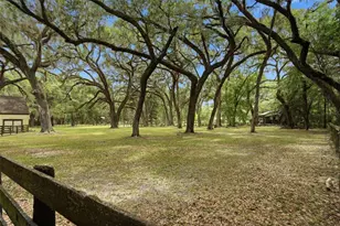 16650 NE 53rd Ln, Williston, FL 32696 - Photo 84