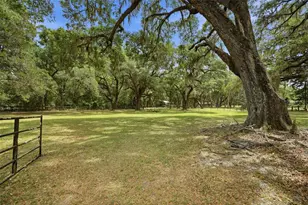 16650 NE 53rd Ln, Williston, FL 32696 - Photo 90