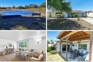 3421 Overland Dr, Holiday, FL 34691 - Photo 1