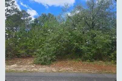 4113 Portillo Road, Spring Hill, FL 34608 - Photo 2