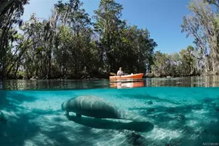 5327 N Mallows Cir, Beverly Hills, FL 34465 - Photo 88