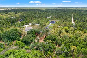 11099 Yellow Hammer Rd, Weeki Wachee, FL 34614 - Photo 74