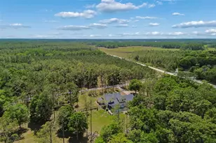 5438 Drexel Rd, Land O Lakes, FL 34638 - Photo 68