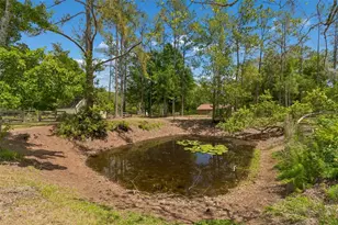 5438 Drexel Rd, Land O Lakes, FL 34638 - Photo 56
