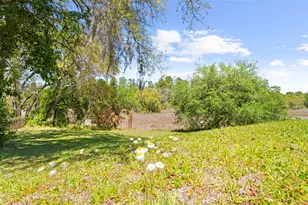 4488 Bluewater Ave, Spring Hill, FL 34606 - Photo 12