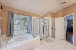 13002 St Filagree Dr, Riverview, FL 33579 - Photo 58
