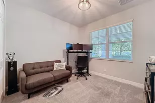 13389 Batten Ln, Odessa, FL 33556 - Photo 22
