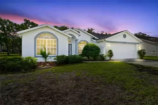 432 Mistwood Ct, Spring Hill, FL 34609 - Photo 1