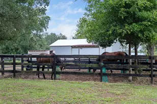 8606 Boyt Rd, Zephyrhills, FL 33540 - Photo 54