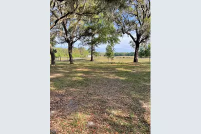 7697 NW 165th Street, Trenton, FL 32693 - Photo 8
