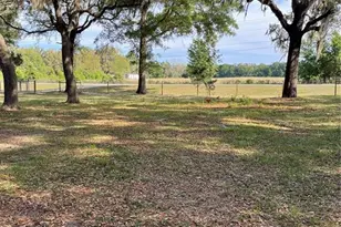 7697 NW 165th St, Trenton, FL 32693 - Photo 8