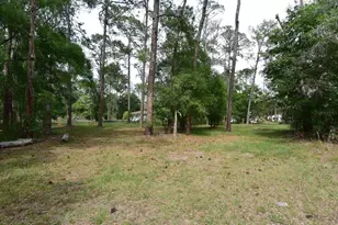 6832 Quail Hollow Blvd, Wesley Chapel, FL 33544 - Photo 4
