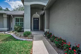 1300 Fallowfield Dr, Trinity, FL 34655 - Photo 4