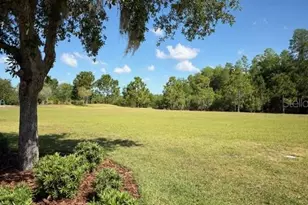 4129 Beeswax Ln, Land O Lakes, FL 34638 - Photo 22