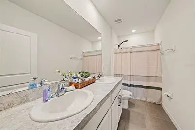 16180 Glowing Grove Avenue, Odessa, FL 33556 - Photo 24
