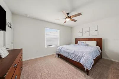 16180 Glowing Grove Avenue, Odessa, FL 33556 - Photo 14