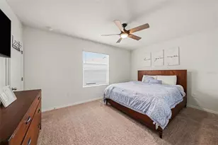16180 Glowing Grove Ave, Odessa, FL 33556 - Photo 14