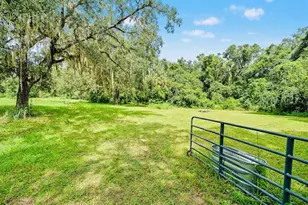 10245 E Trails End Rd, Floral City, FL 34436 - Photo 8