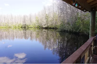 20857 Haulover Cove #B14, Lutz, FL 33558 - Photo 32