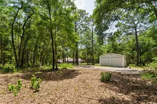 16225 Bonzai Trl, Brooksville, FL 34613 - Photo 60