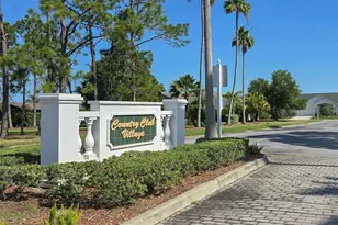 11428 Hidden Cove Ct, Trinity, FL 34655 - Photo 60