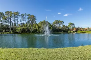 11428 Hidden Cove Ct, Trinity, FL 34655 - Photo 92
