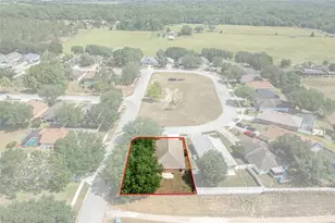 7228 Crested Orchid Dr, Brooksville, FL 34602 - Photo 6