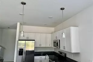 10981 Wishing Cloud Rd, Land O Lakes, FL 34638 - Photo 8