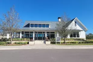 10981 Wishing Cloud Rd, Land O Lakes, FL 34638 - Photo 36