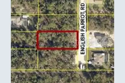 13415 English Parrot Road, Brooksville, FL 34614 - Photo 1
