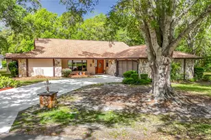 2 Jungleplum Ct W, Homosassa, FL 34446 - Photo 2