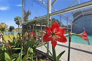 7203 Bramblewood Dr, Port Richey, FL 34668 - Photo 16