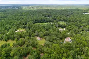3431 Rackley Rd, Brooksville, FL 34604 - Photo 34