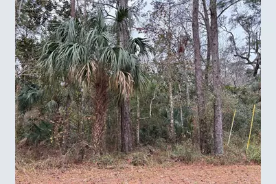 Lot 12 Carolina Dove Road, Brooksville, FL 34614 - Photo 2